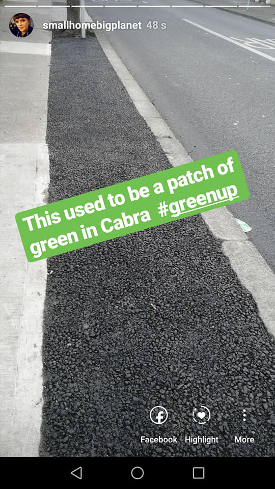 This patch used to be green