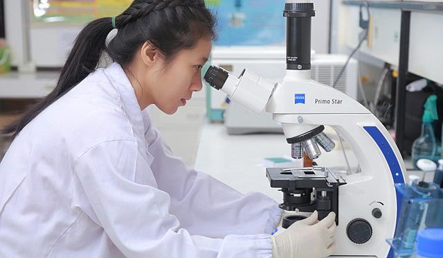 Scientist working in lab