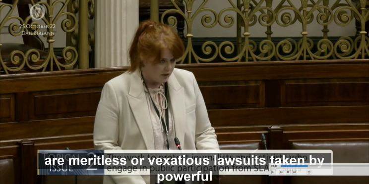 Neasa speaking in the Dáil